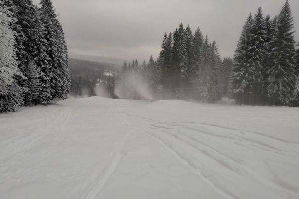 Provoz Ski&bike Špičák přerušen do 22. ledna, připravili jsme sáňkařský svah