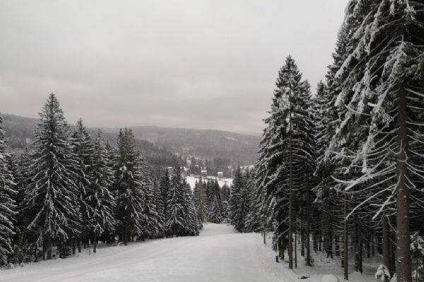 Provoz Ski&bike Špičák přerušen do 22. ledna, připravili jsme sáňkařský svah