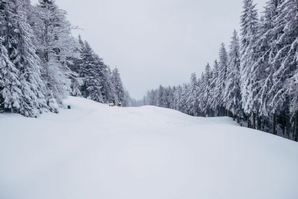 Přerušení provozu prodlouženo do konce měsíce