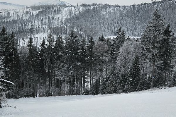 Od pátku 17. ledna nabídneme téměř 6 km sjezdovek, přibude celá trojka Slalomová  