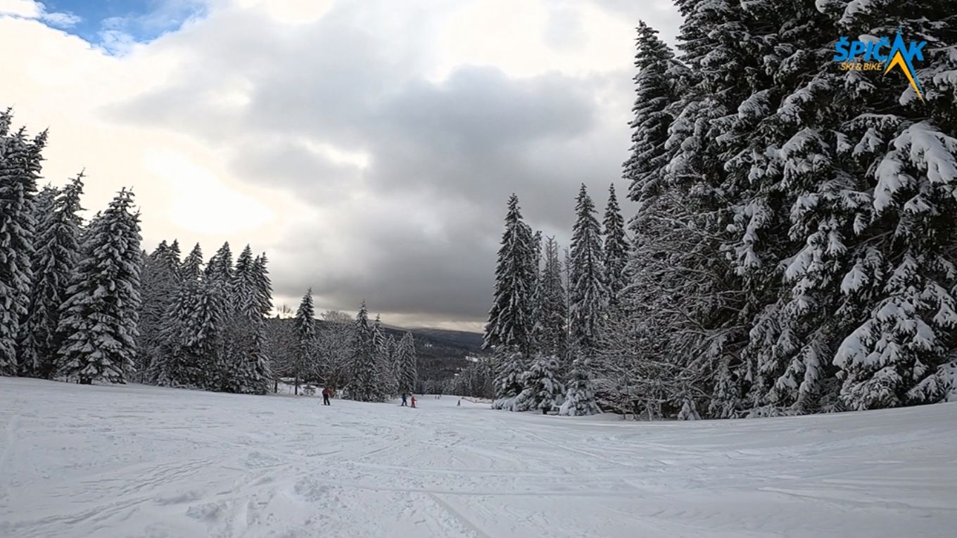 Na šumavském Špičáku jsou v těchto dnech nejlepší podmínky pro lyžování